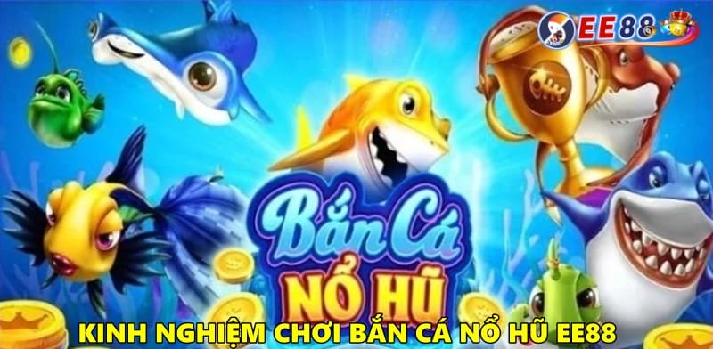 Kinh nghiệm bắn cá nổ hũ bất bại từ cao thủ