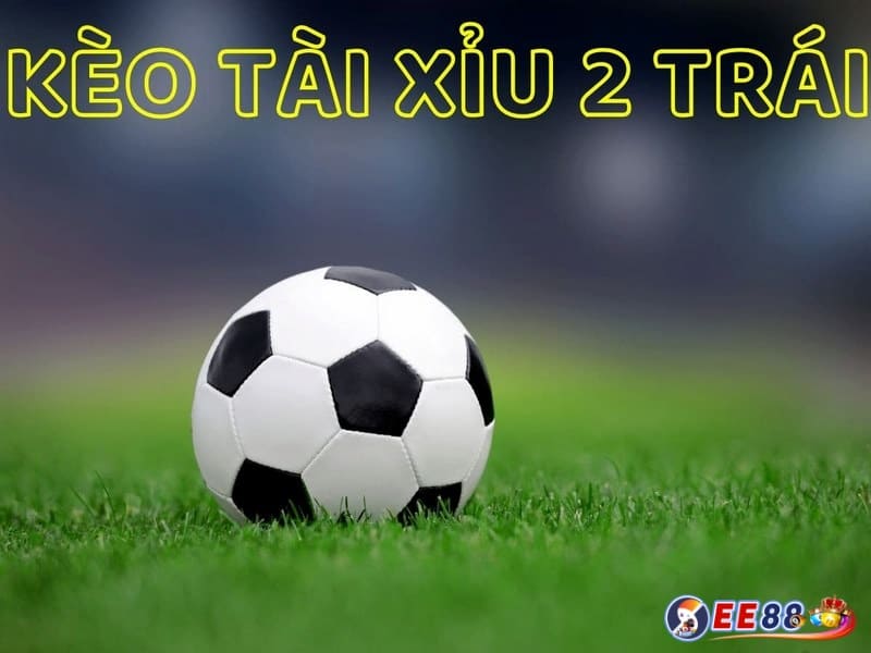 Tài Xỉu 2 trái